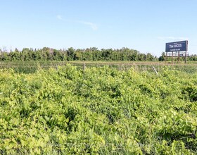 Pt Lt 20 Concession 7 Road, Simcoe, ON , MLS #S12855250 , Image - 1