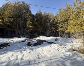 146 Sutter Road, Bruce, ON , MLS #X12864826 , Image - 1