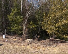 11 Lakeside Woods Crescent, Bruce, ON , MLS #X12877946 , Image - 1