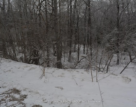 0 Sucie Road, Haliburton, ON , MLS #X12881098 , Image - 1