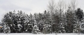0 Airport Road, Lennox & Addin, ON