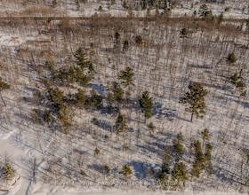 0 Hoddy's Side Road, Parry Sound, ON , MLS #X12889068 , Image - 1