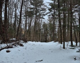 247 Woodland Drive, Parry Sound, ON , MLS #X12898454 , Image - 1
