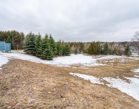 313338 6 Highway, Grey County, ON , MLS #X12905776 , Image - 1