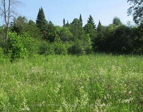 00 Mcguire Road, Lanark, ON , MLS #X12915386 , Image - 1