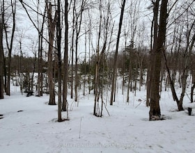 1007 Racoon Road, Muskoka, ON , MLS #X13487048 , Image - 1