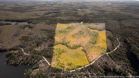 1356 Dickie Lake Road, Muskoka, ON , MLS #X12936408 , Image - 1