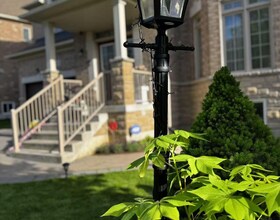 936 Goring Circle, York, ON , MLS #N12937478 , Image - 1
