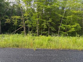 47 Summer Leigh Trail, Muskoka, ON , MLS #X12946200 , Image - 1