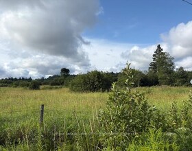 0 Old Muskoka to the East Side of #1105 Road, Muskoka, ON , MLS #X12946040 , Image - 1