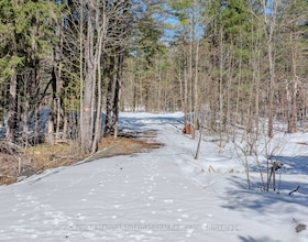2682 Muskoka District 118 Road W, Muskoka, ON , MLS #X13446926 , Image - 1