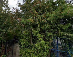 30 Grange Avenue, Toronto, ON