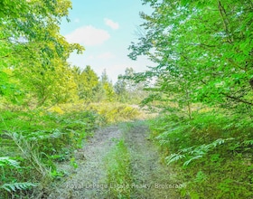 Lot 4 SIXTH Street, Bruce, ON , MLS #X13021426 , Image - 1