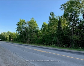 0 PT LT 32 COUNTY ROAD 49 Road, Peterborough, ON , MLS #X13029574 , Image - 1