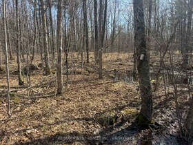 0 CALIFORNIA Road, Lennox & Addin, ON , MLS #X13034840 , Image - 1