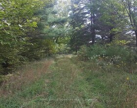 2800 Ardoch Road, Frontenac, ON , MLS #X13036138 , Image - 1