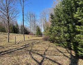 PT LT 21 Grey Road 12 Road, Grey County, ON , MLS #X13041800 , Image - 1