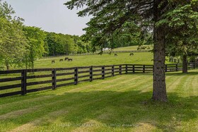 2065 19th Side Road, York, ON , MLS #N13047130 , Image - 1