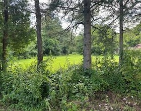 1161 Edgewood Road, Hamilton, ON , MLS #X13054354 , Image - 1