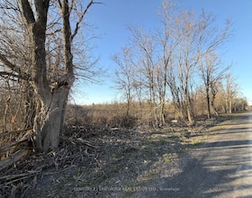 0 Reid Settlement Road, Hastings, ON , MLS #X13054862 , Image - 1