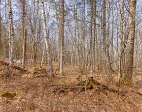 Lot 1 Foymount Road, Renfrew, ON , MLS #X13056304 , Image - 1