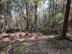 Lot 25 Champlain Road, Simcoe, ON , MLS #S13065150 , Image - 1