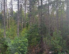 N/A Cordova Road, Hastings, ON , MLS #X13070024 , Image - 1