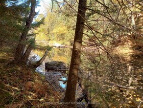 326 South River Road, Parry Sound, ON , MLS #X13088142 , Image - 1