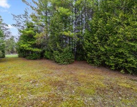 PT LT 70 West Back Line, Grey County, ON , MLS #X13097000 , Image - 1