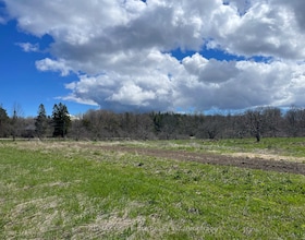 Part 1 Cape Chin North Road, Bruce, ON , MLS #X13114910 , Image - 1