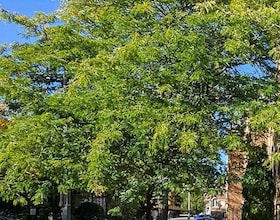 189 Galloway Road, Toronto, ON