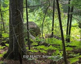 20 Peplinskie Homestead Road, Renfrew, ON , MLS #X13136958 , Image - 1