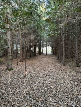 Pt Lt 3 Con 7 N/A, Dufferin, ON , MLS #X13146168 , Image - 1