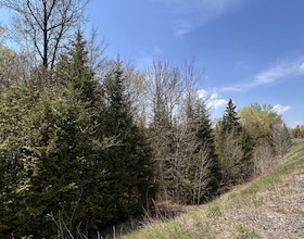 0 Highway 118 N/A, Hastings, ON , MLS #X13153456 , Image - 1