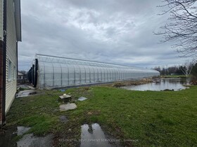 342 Mountain Road, Niagara, ON , MLS #X13161440 , Image - 1