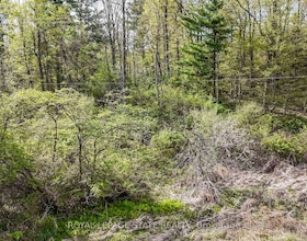 0 Mineral Springs Road, Hamilton, ON , MLS #X13161550 , Image - 1