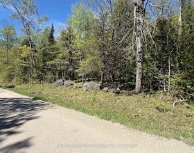 Lt 191 - 193 Mallory Beac h Road, Bruce, ON , MLS #X13161870 , Image - 1