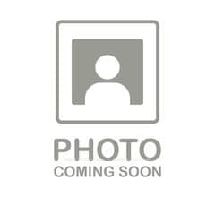 213 Phyllis Avenue, Toronto, ON