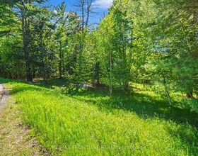 0 Healey Drive, Lanark, ON , MLS #X13204706 , Image - 1