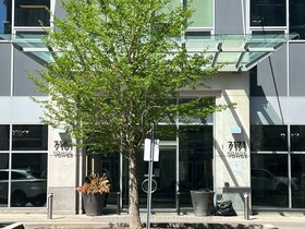 7161 Yonge Street, York, ON , MLS #N13206108 , Image - 1