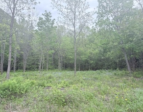 Lot 3 Mutual Avenue, Renfrew, ON