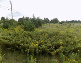 00 Hwy 43 Highway W, Lanark, ON , MLS #X13216622 , Image - 1