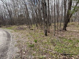 0 Dauncey Road, Parry Sound, ON , MLS #X13231862 , Image - 1