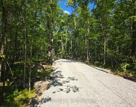 48 Marble Point Road, Hastings, ON , MLS #X13235834 , Image - 1