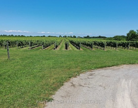 3705 North Service Road, Niagara, ON , MLS #X13242946 , Image - 1