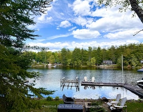 1042 Road 3100 Road, Muskoka, ON , MLS #X13251500 , Image - 1