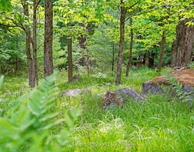 935 McLaren Road, Lanark, ON , MLS #X13280348 , Image - 1