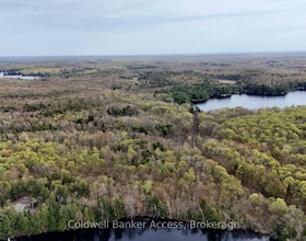 Severed Buckeye Road, Muskoka, ON , MLS #X13412458 , Image - 1