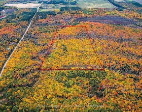 Lot 14 Concession 18 Road W, Simcoe, ON , MLS #S13427196 , Image - 1
