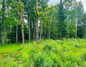 1190 BACON Road, Haliburton, ON , MLS #X13460694 , Image - 1